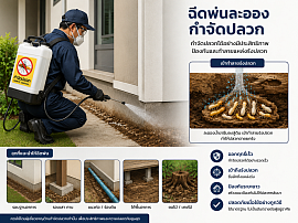 ฉีดพ่นสเปยร์เคมีป้องกันปลวก