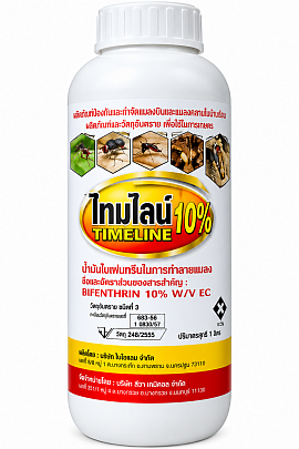 ไทมไลน์